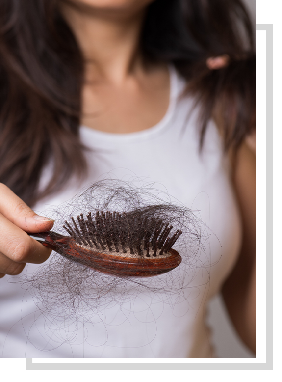 loose hair strands in brush