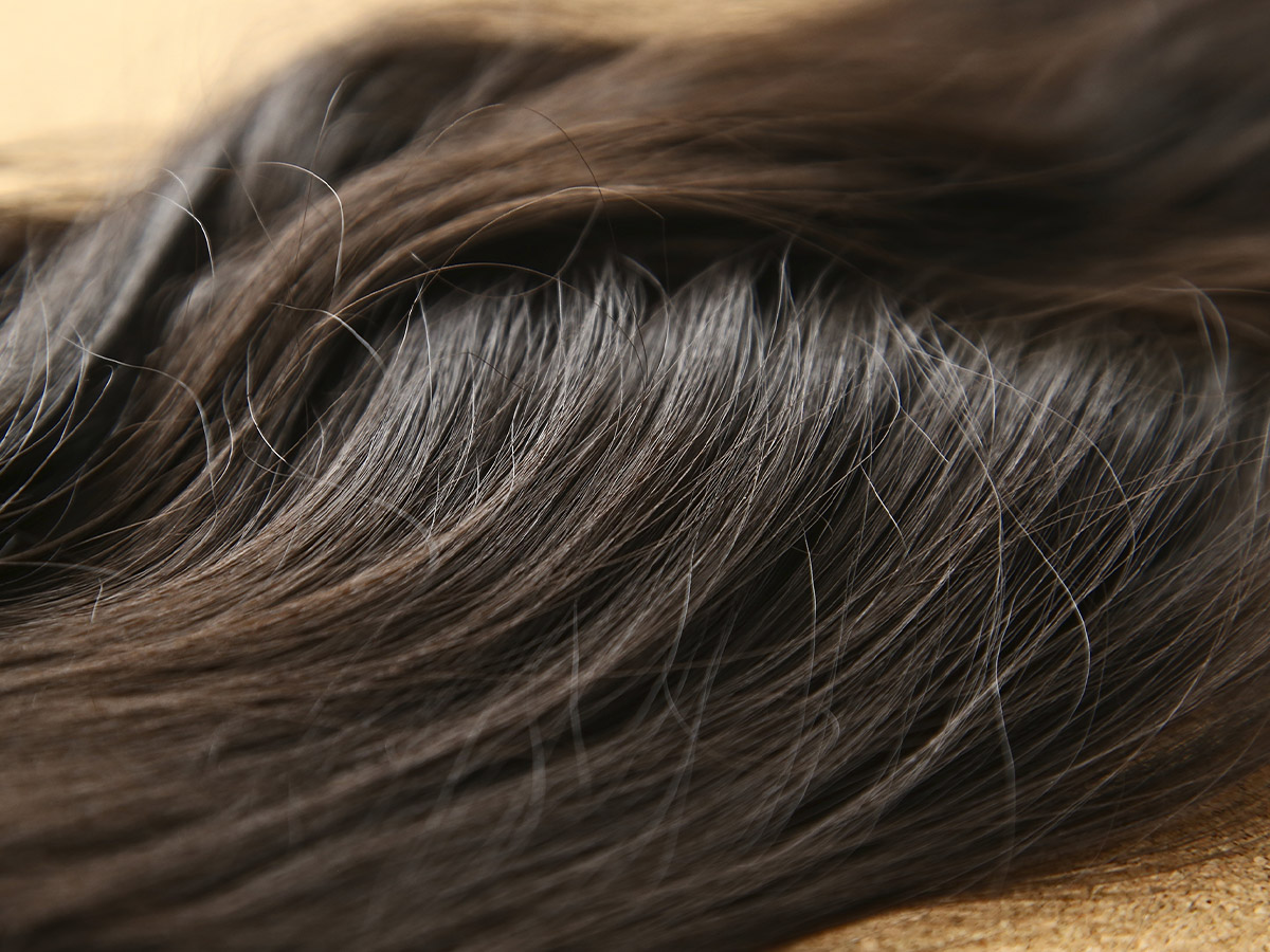 Close-up of dark brown hair.