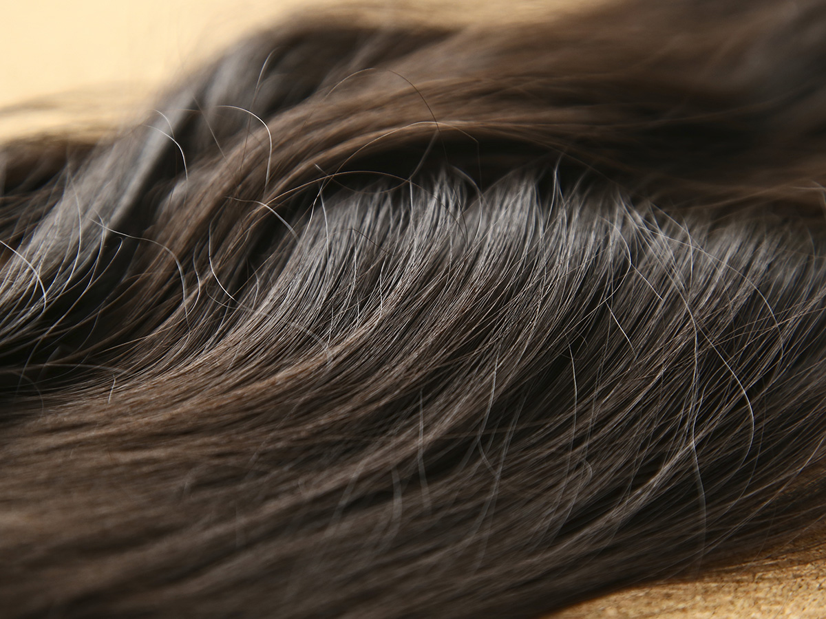 close up photo of brown hair