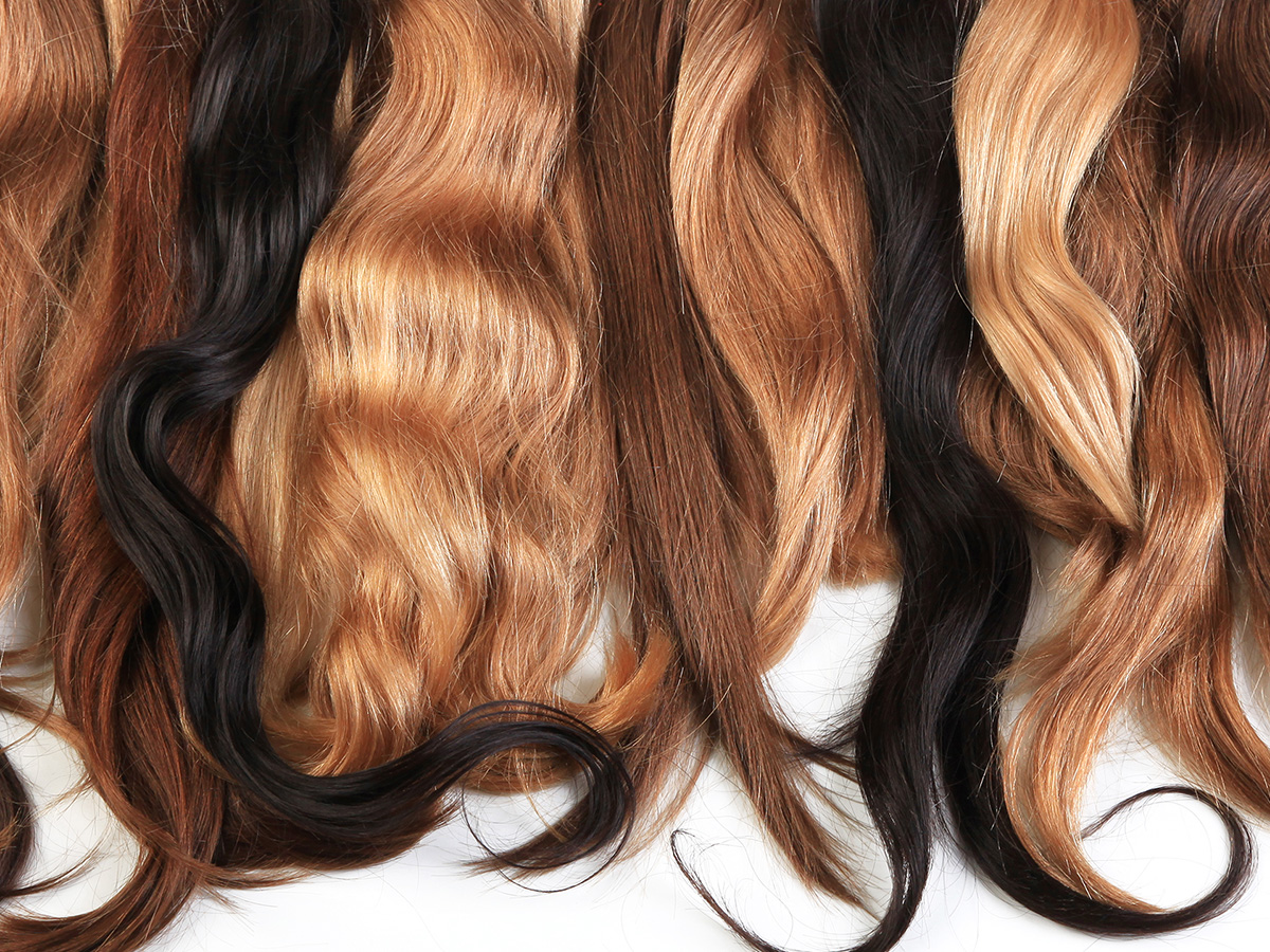 photo of a variety of color and style of hair fillers